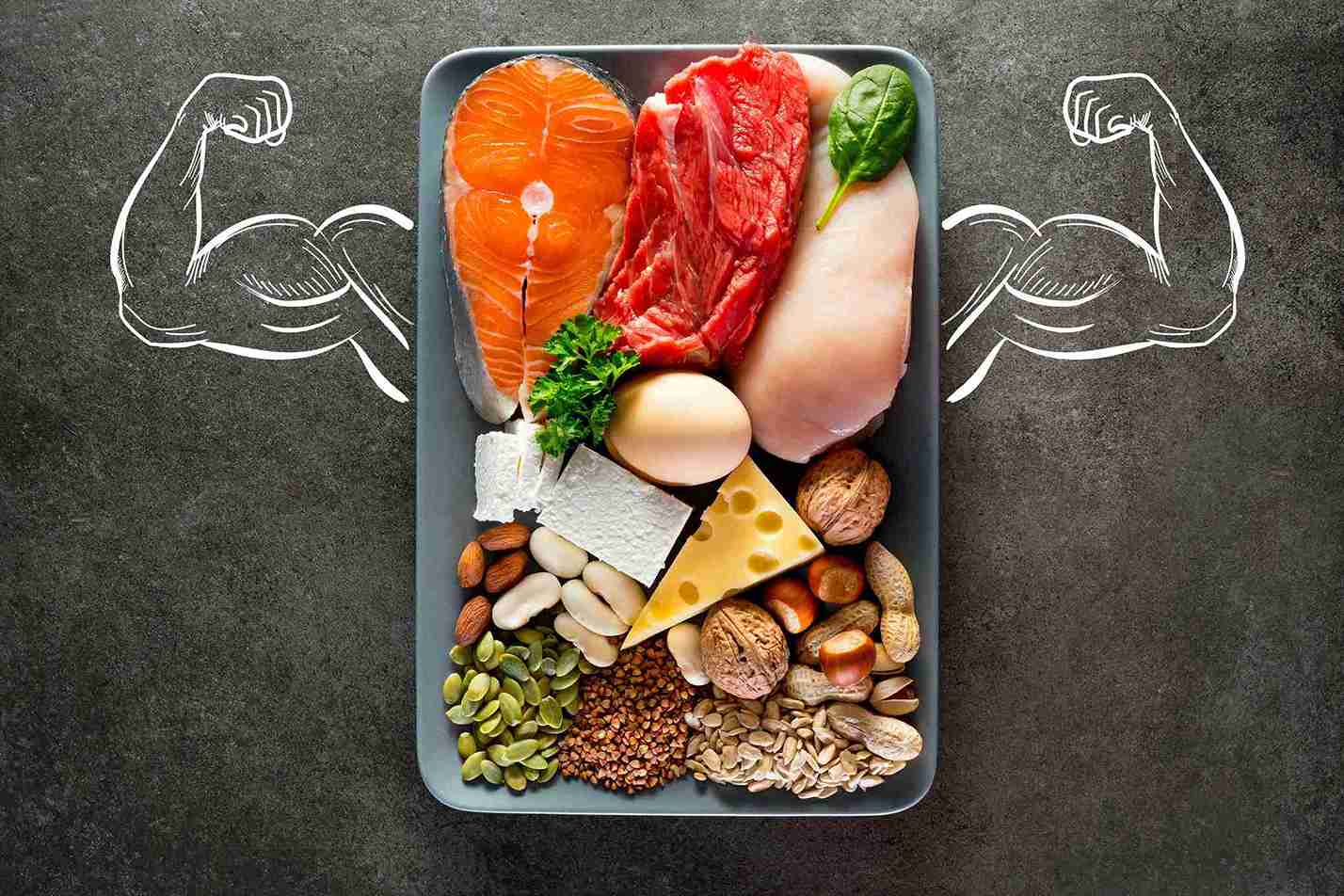 Sources of protein Sources of protein